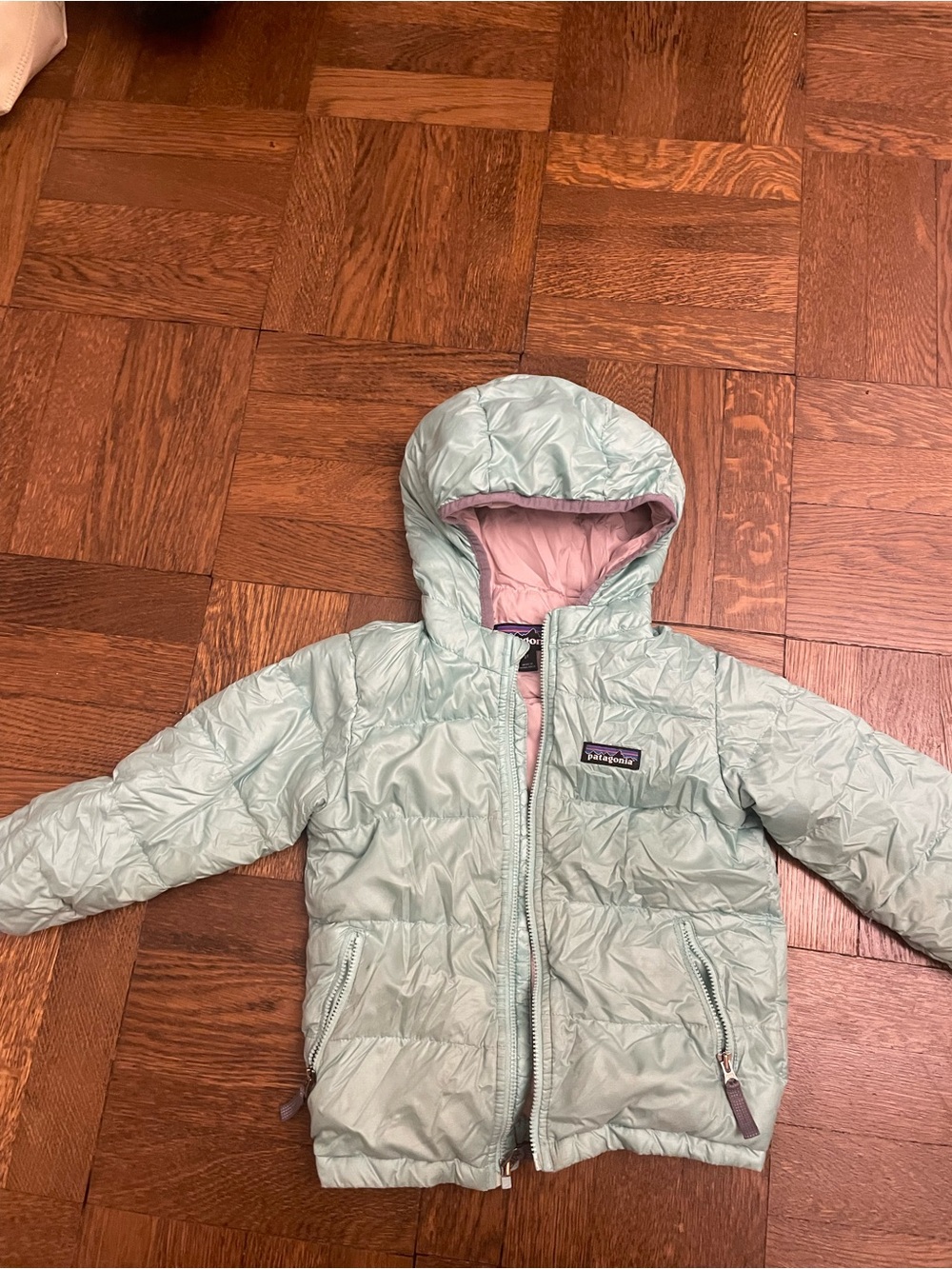 Patagonia hi-loft down Puffer Jacket with Hood